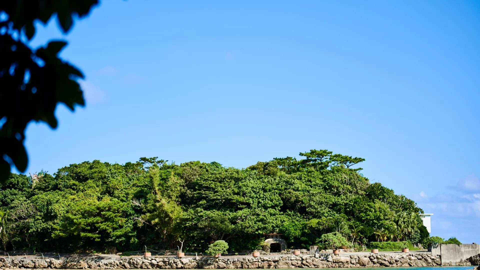 アーヂ島