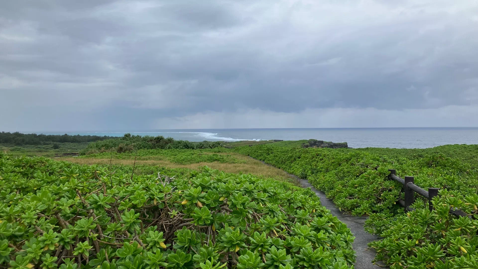 白鳥崎　西海岸公園