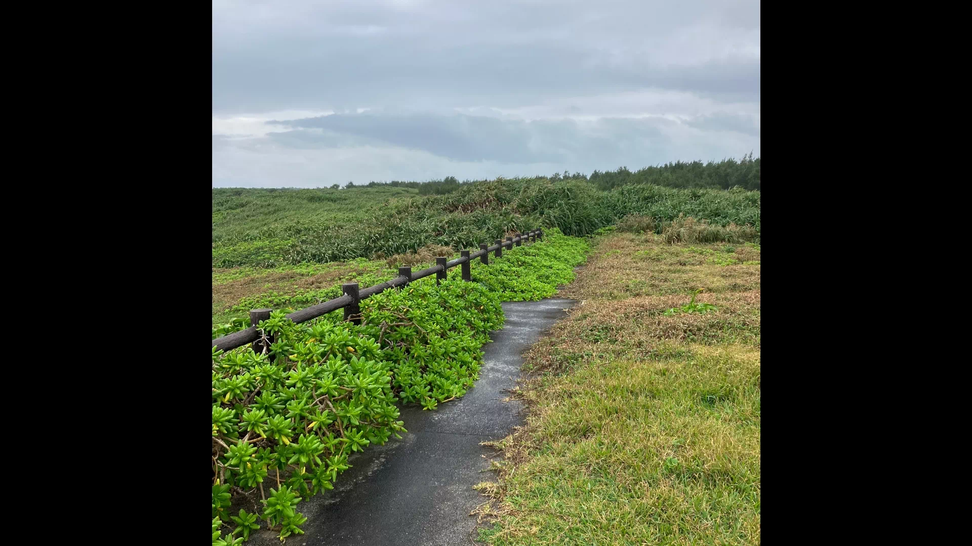 白鳥崎　西海岸公園