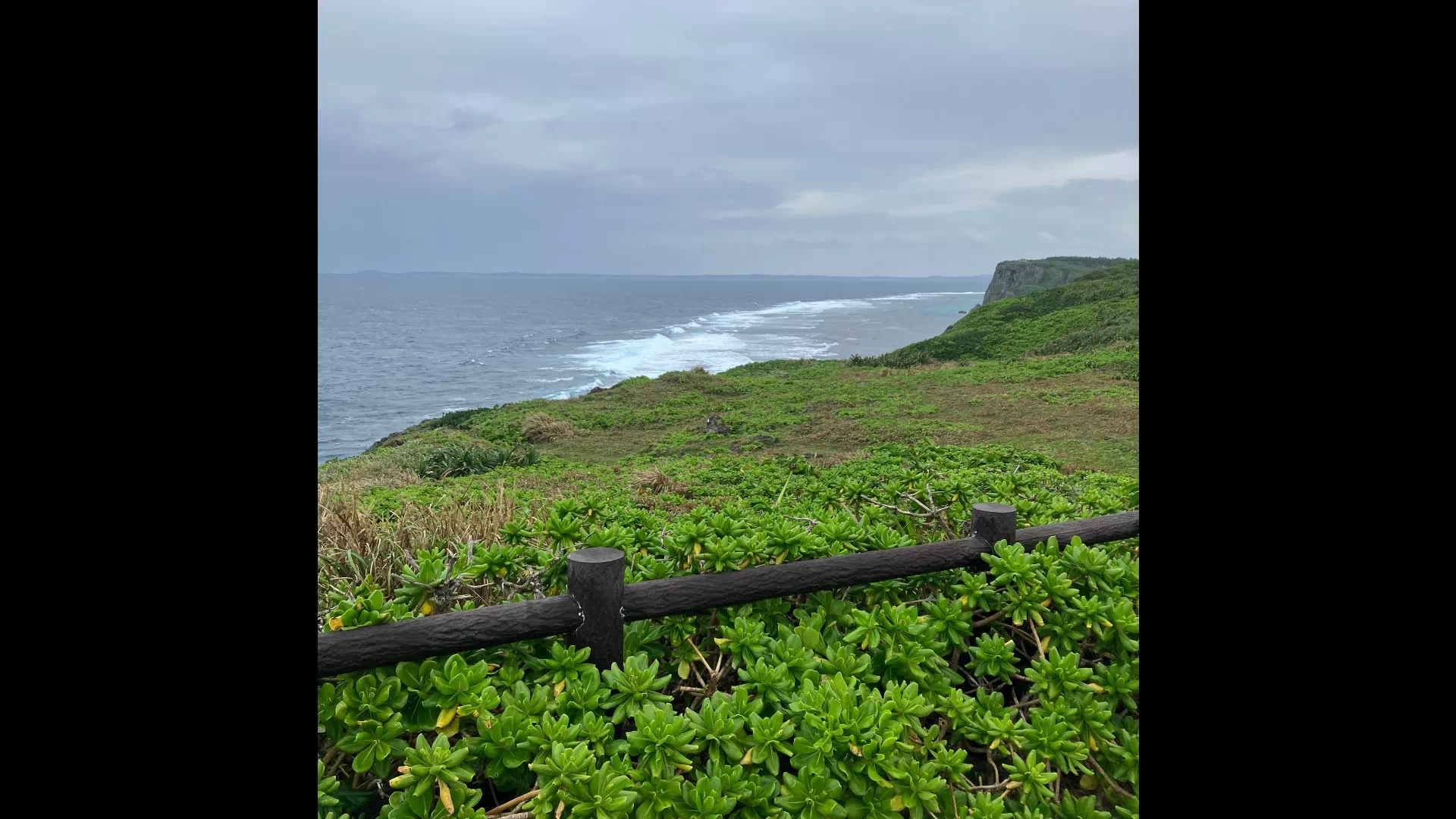 白鳥崎　西海岸公園