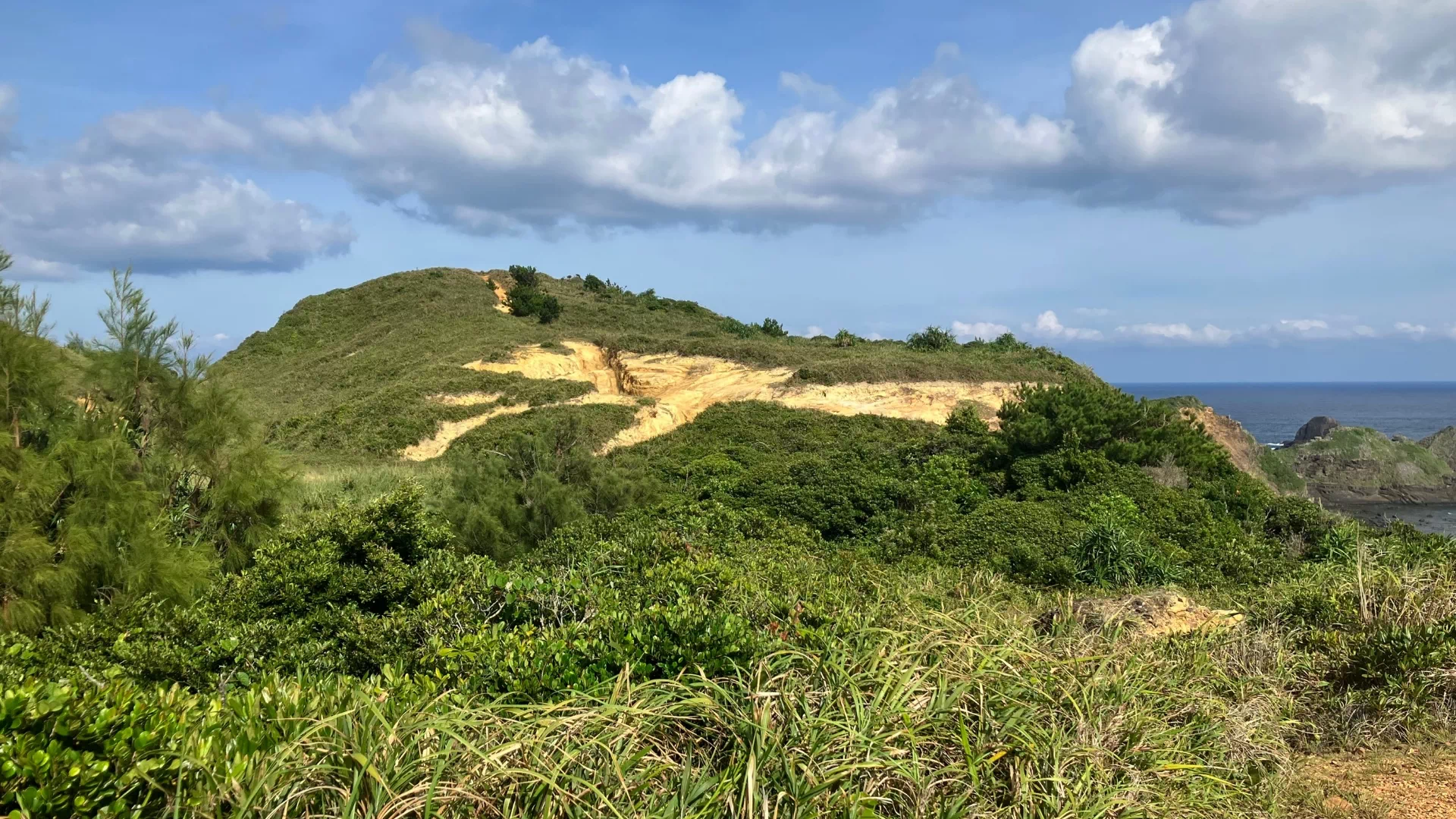 天仁屋崎（天仁屋崎海岸）