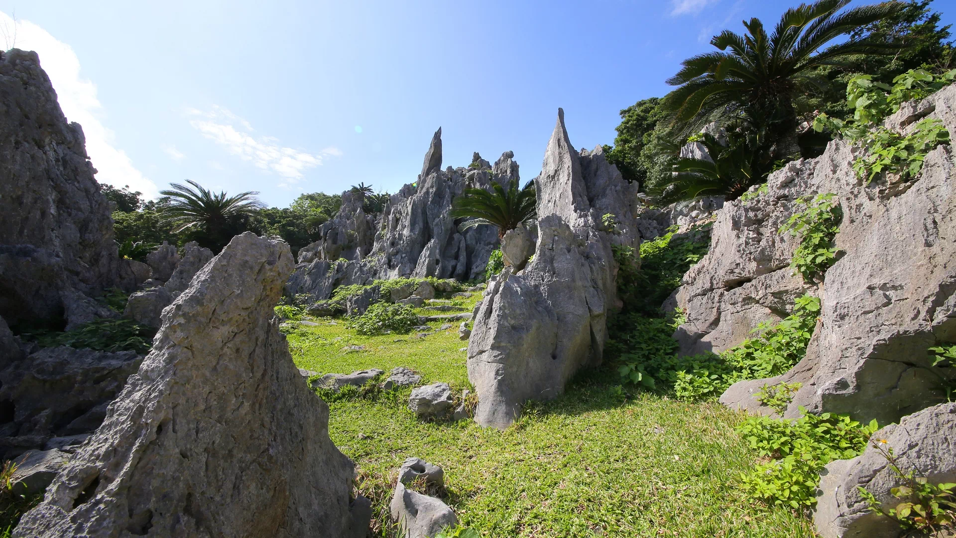 やんばる国立公園　大石林山