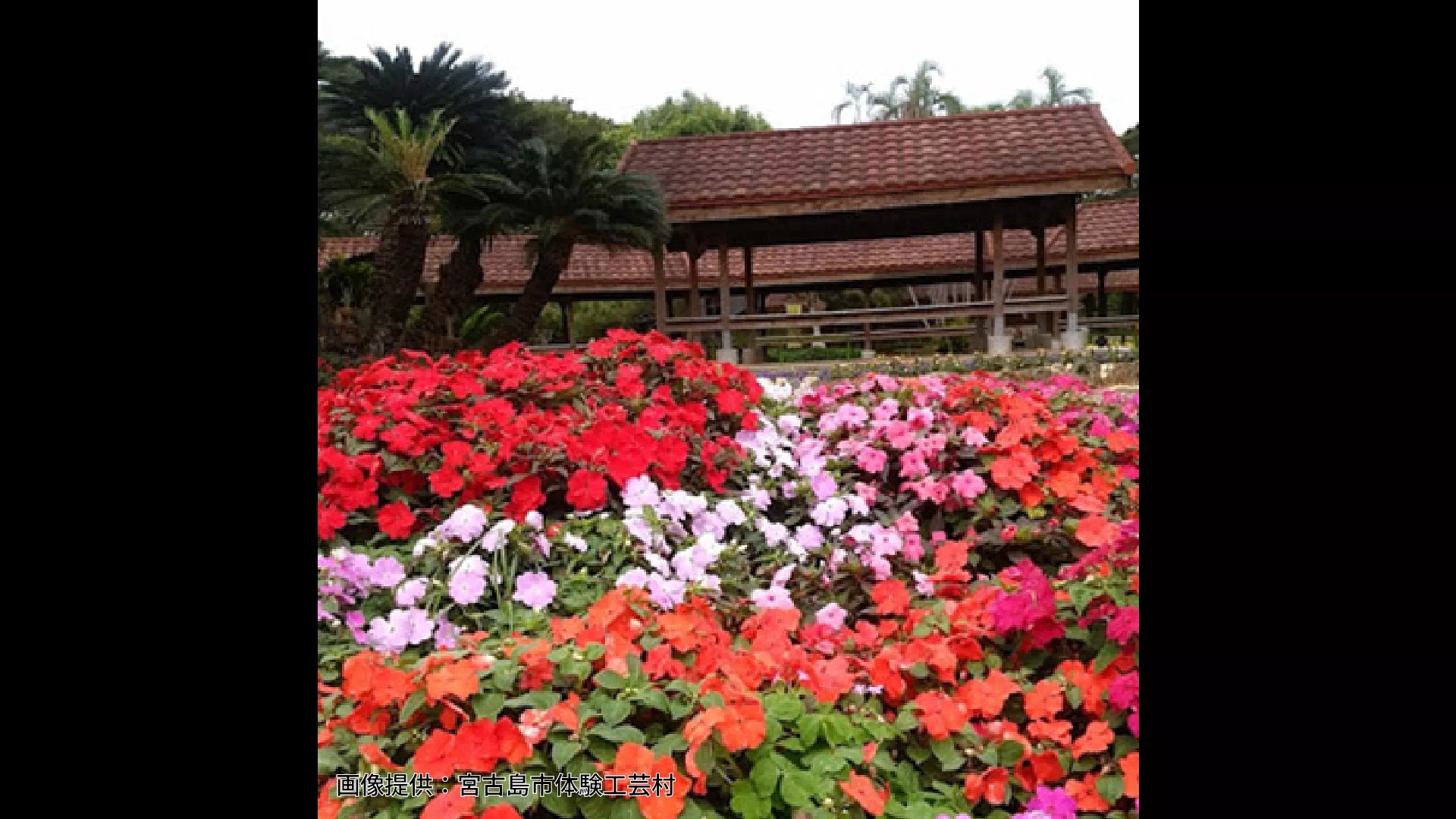 宮古島市体験工芸村