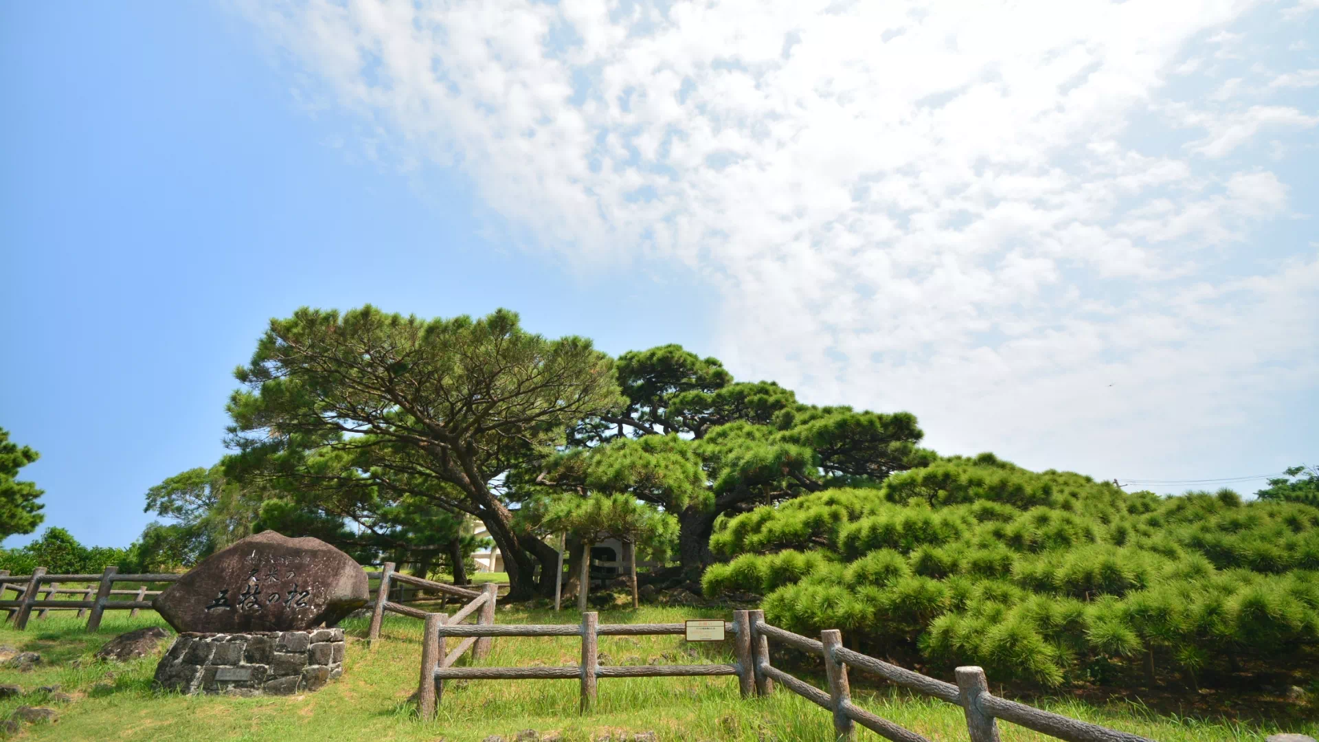 五枝の松園地