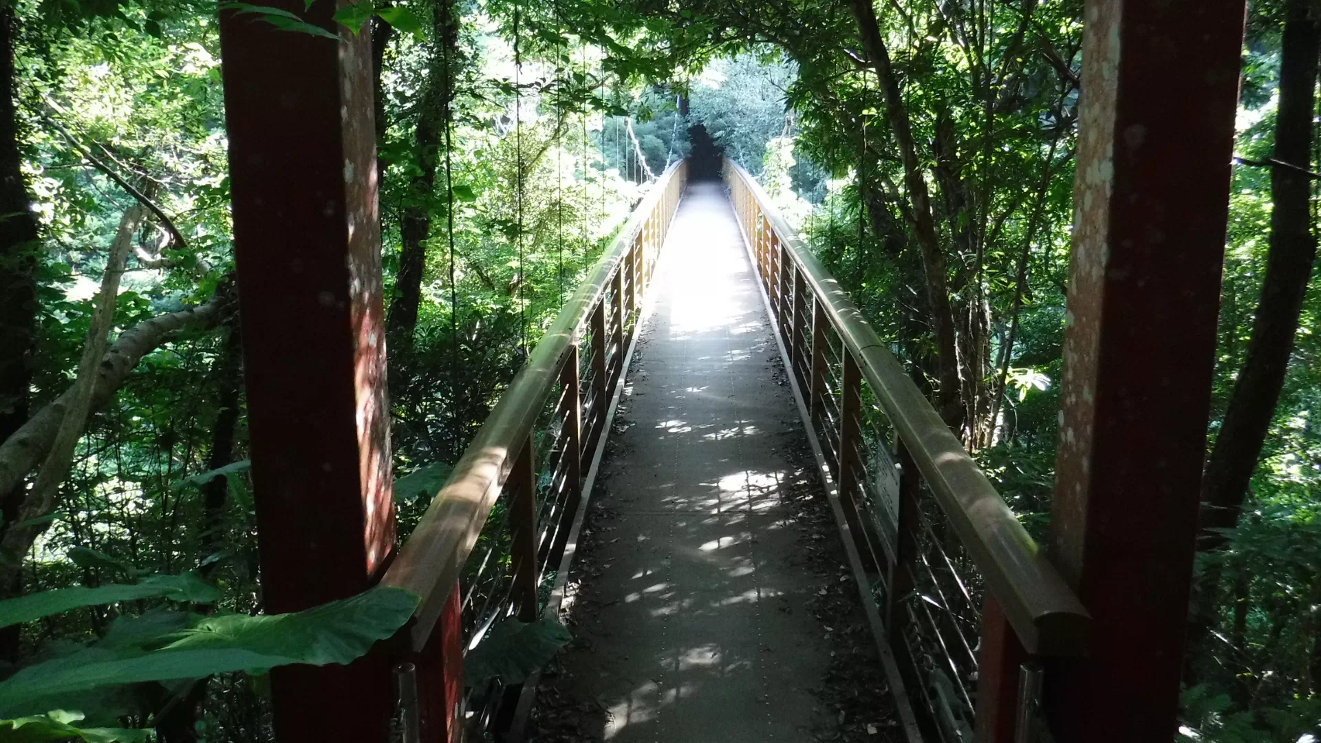 比地大滝キャンプ場