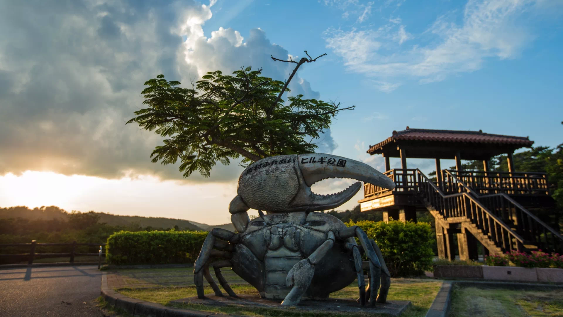 東村ふれあいヒルギ公園