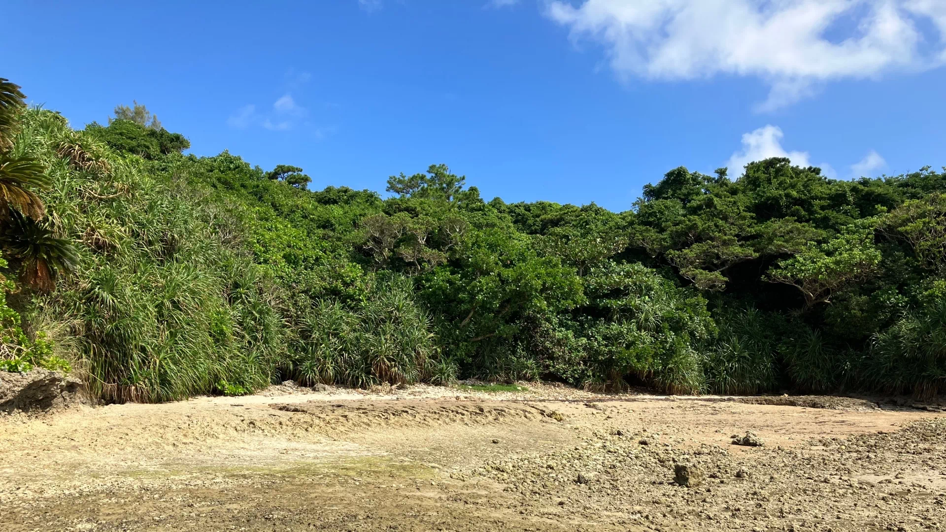 藪地島　ジャーネー洞の浜