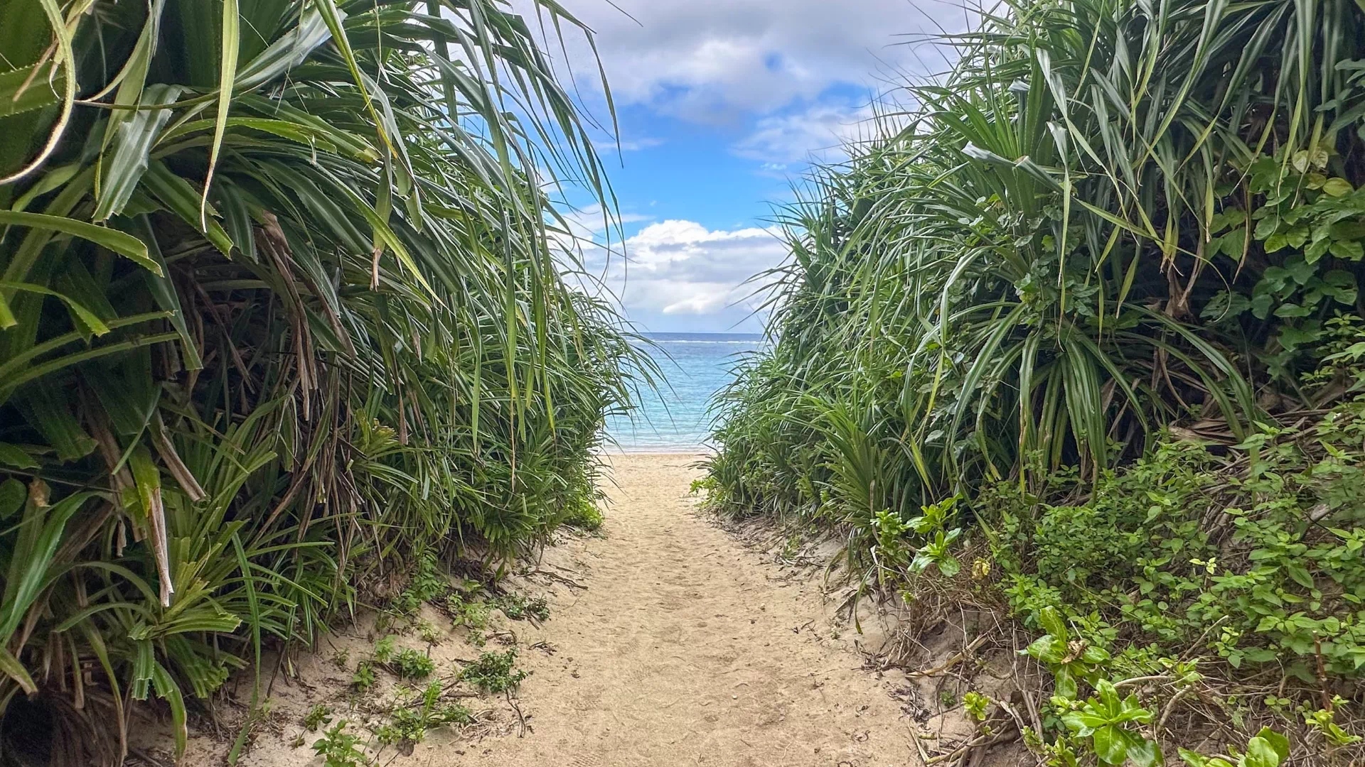 長浜ビーチ