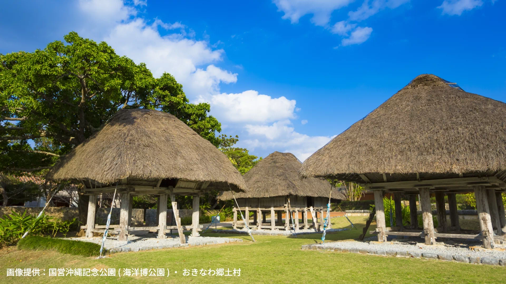 おきなわ郷土村