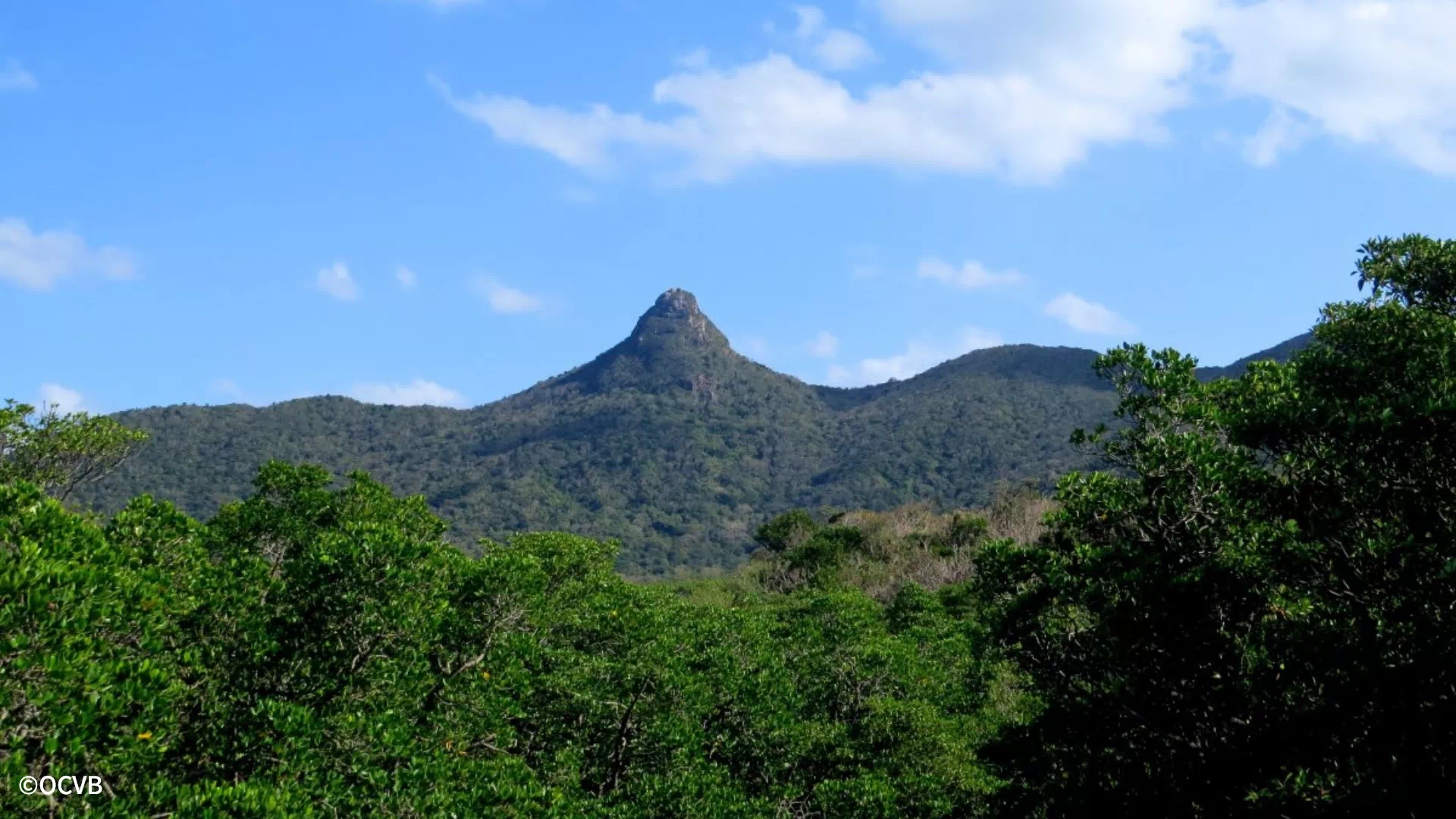 野底岳