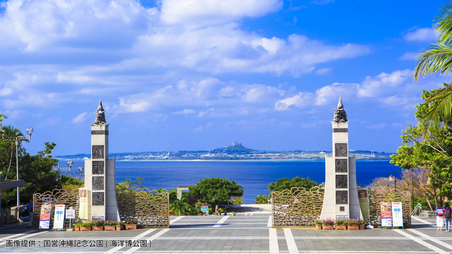 国営沖縄記念公園/海洋博公園