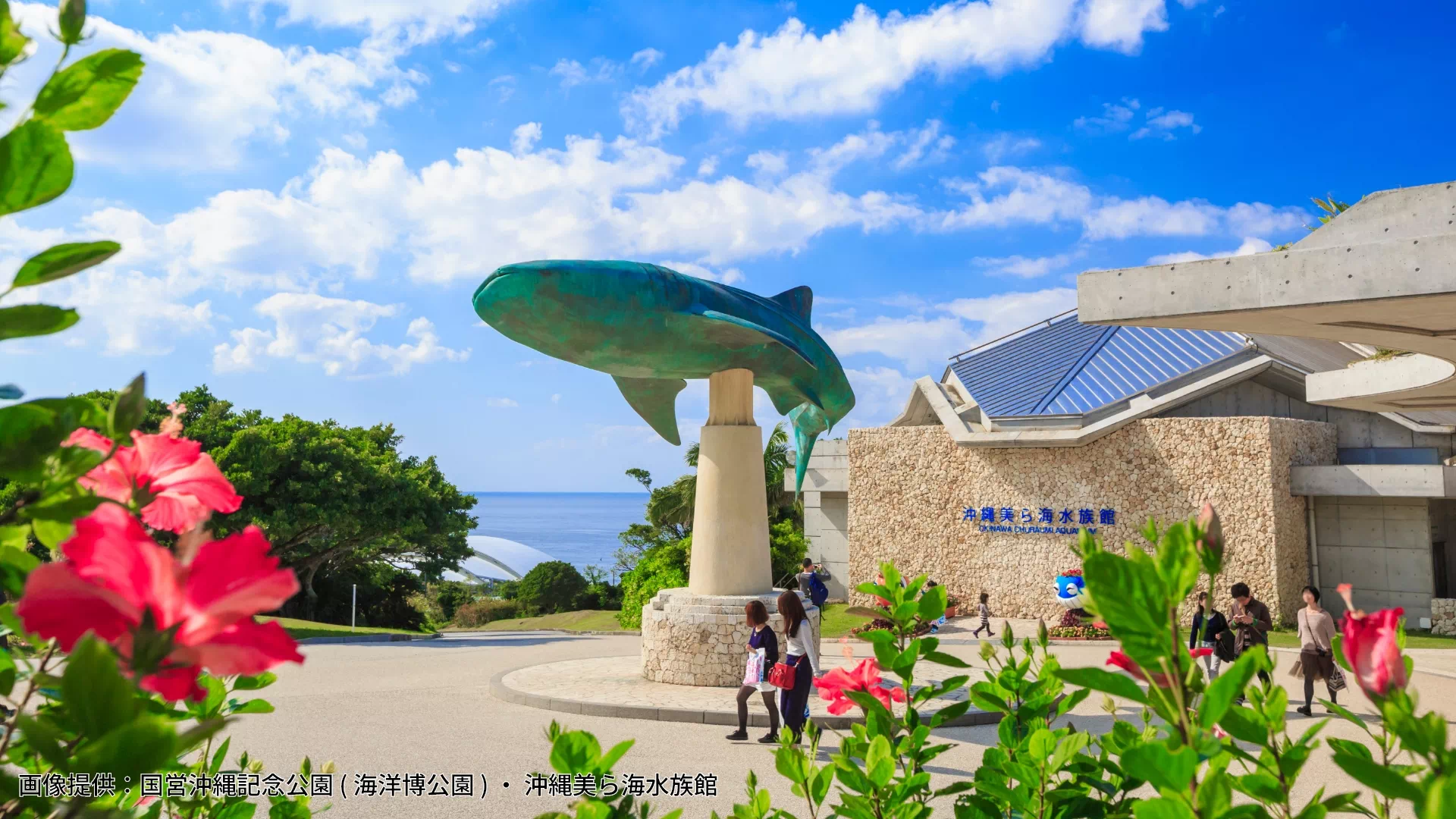 沖縄美ら海水族館