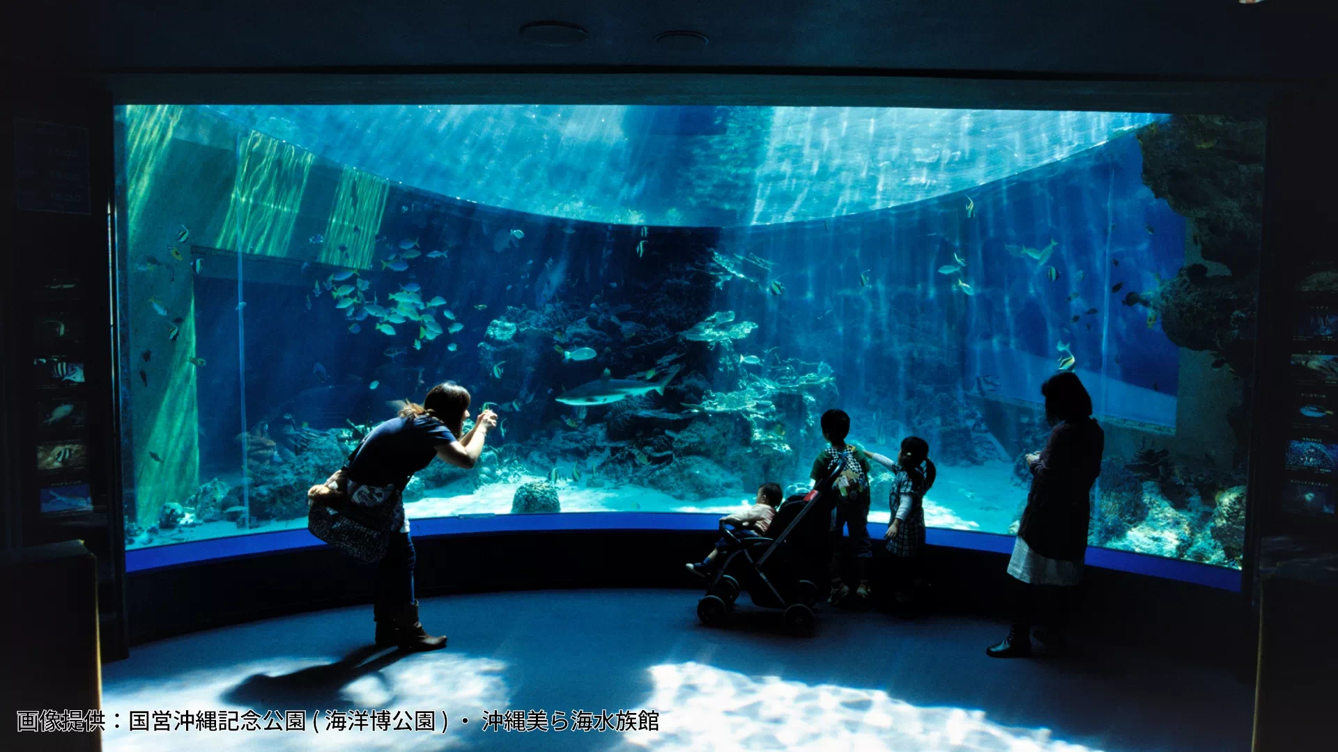 沖縄美ら海水族館