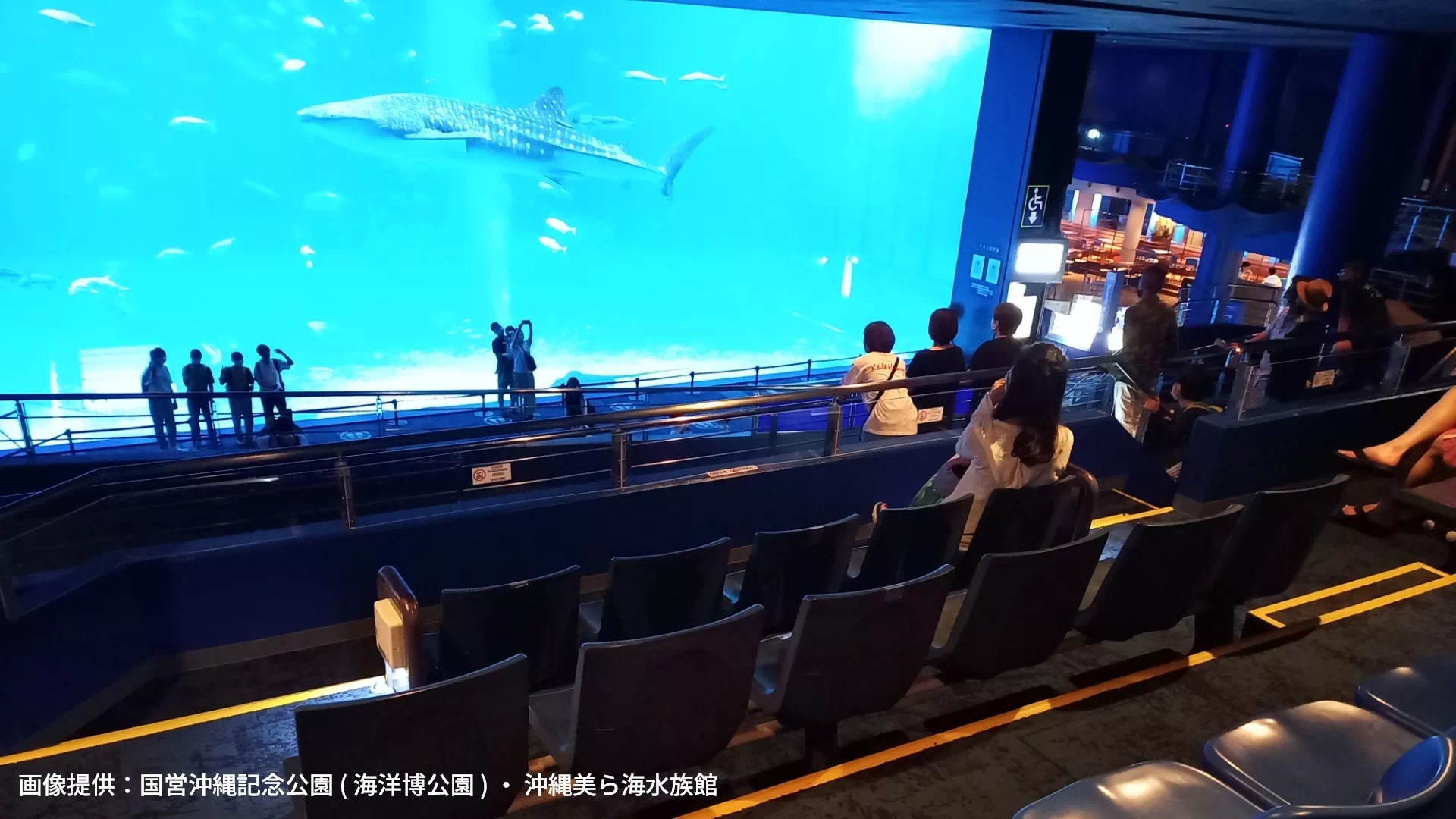 沖縄美ら海水族館