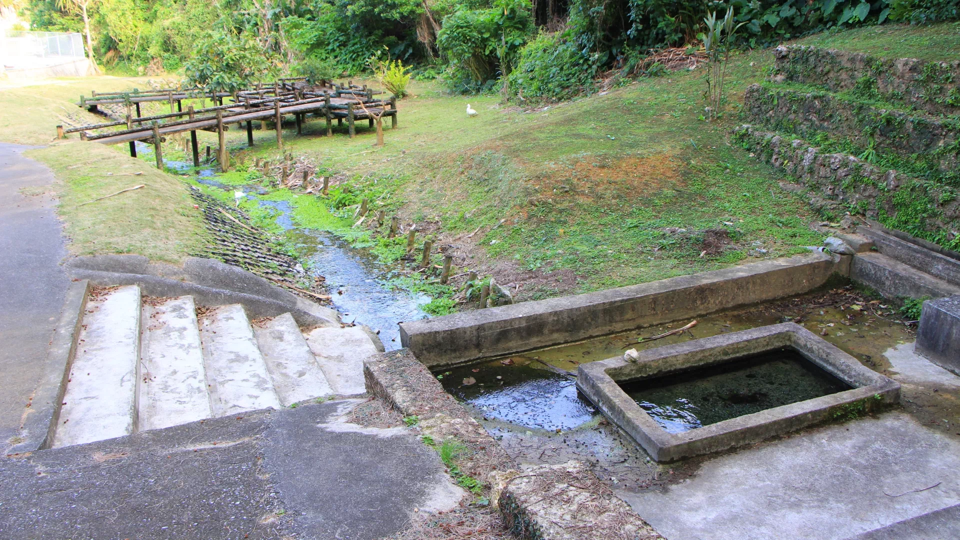 大久保ガー水辺公園