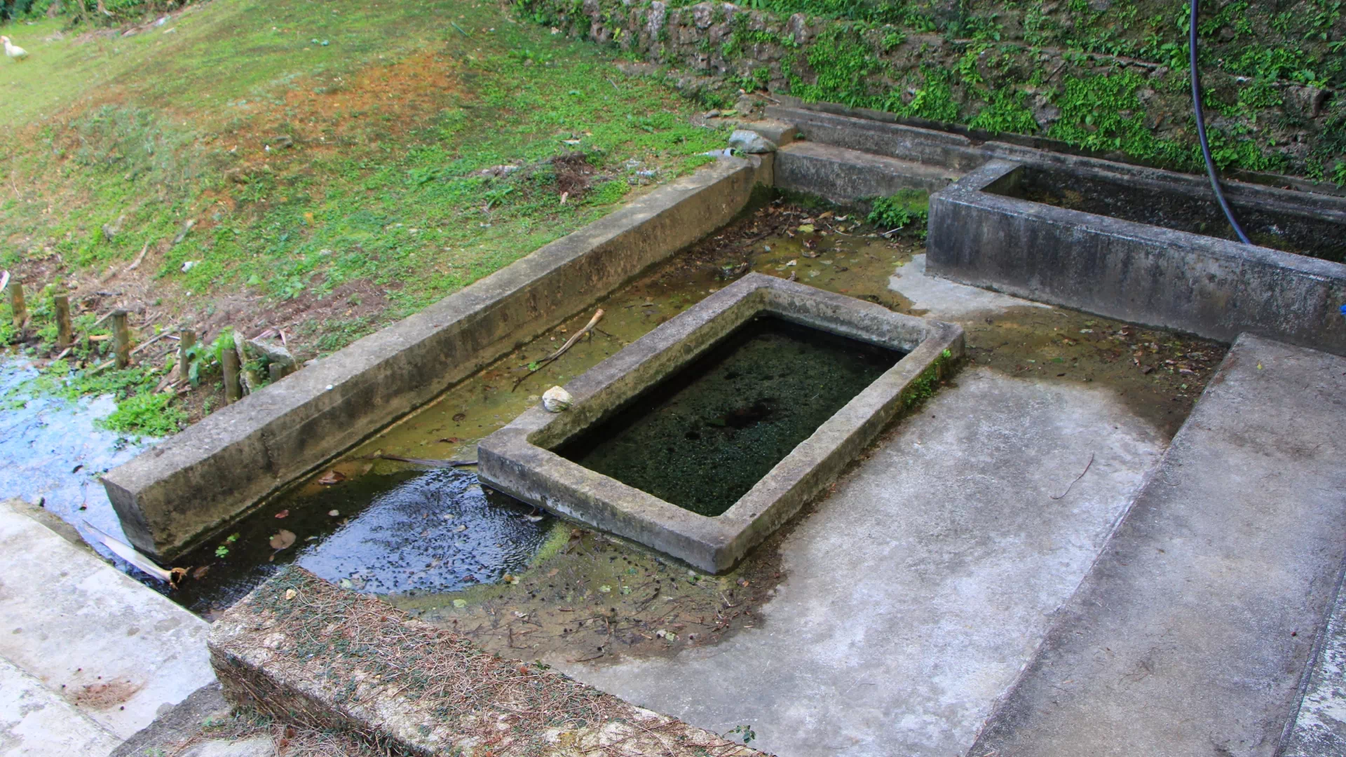 大久保ガー水辺公園