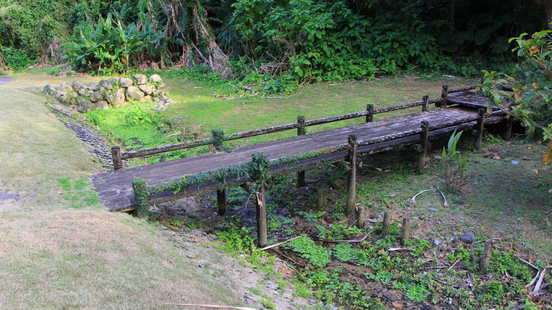 大久保ガー水辺公園