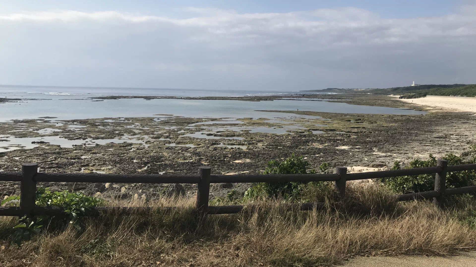 大度海岸