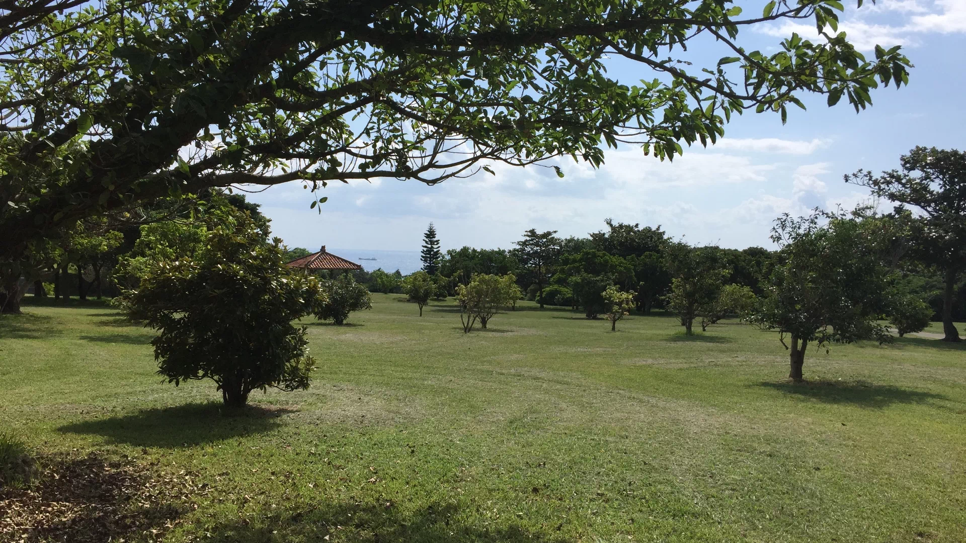 沖縄県平和創造の森公園