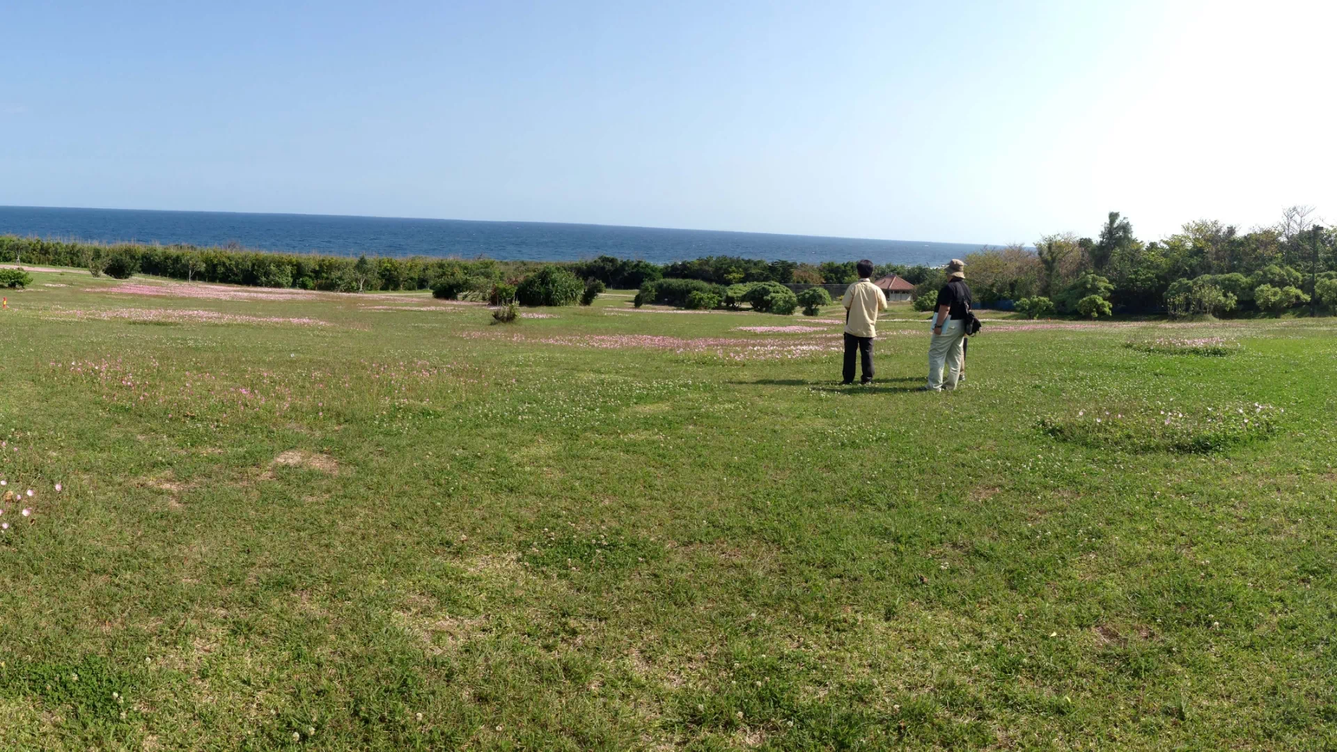 沖縄県平和創造の森公園