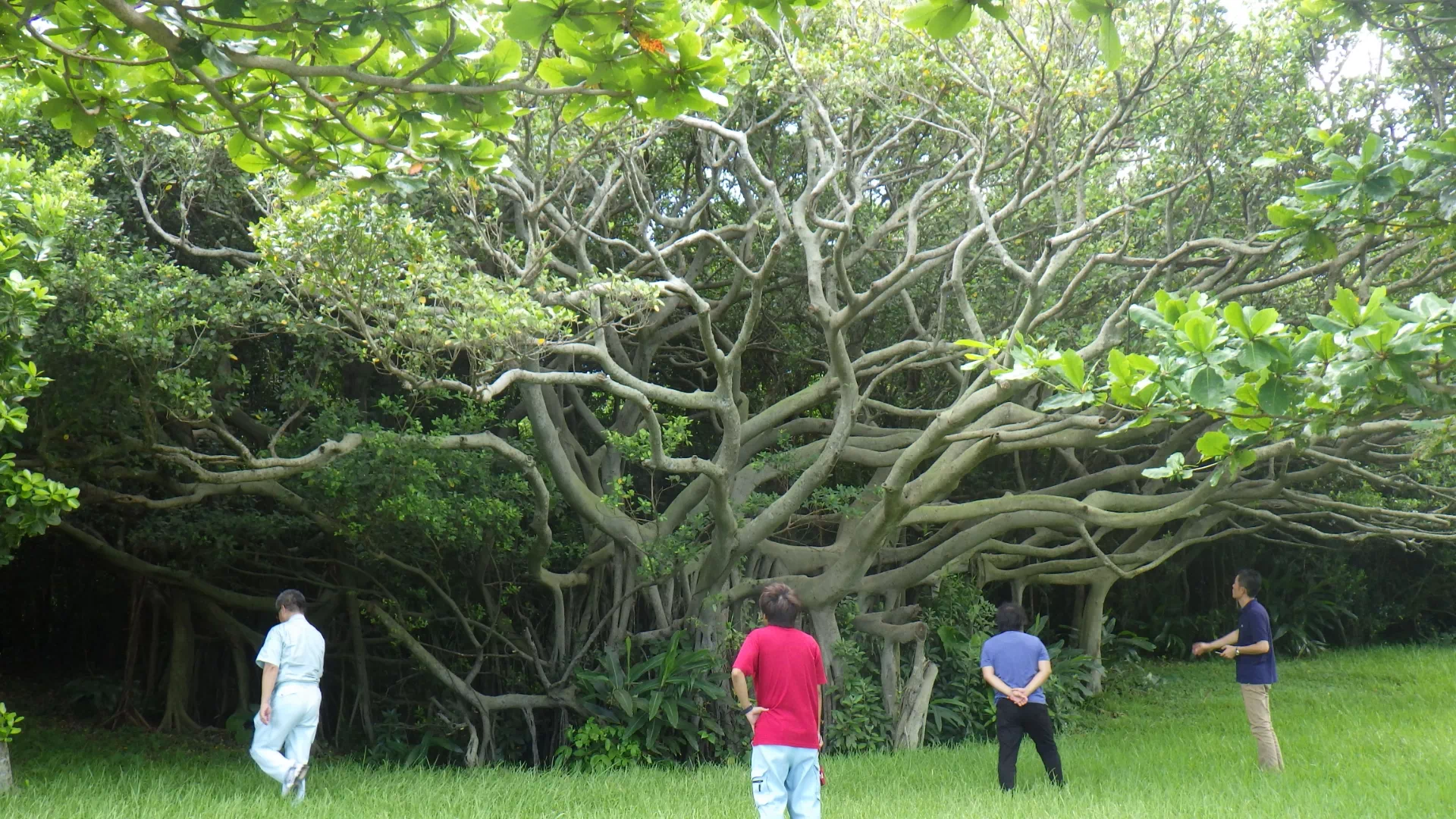 沖縄県平和創造の森公園