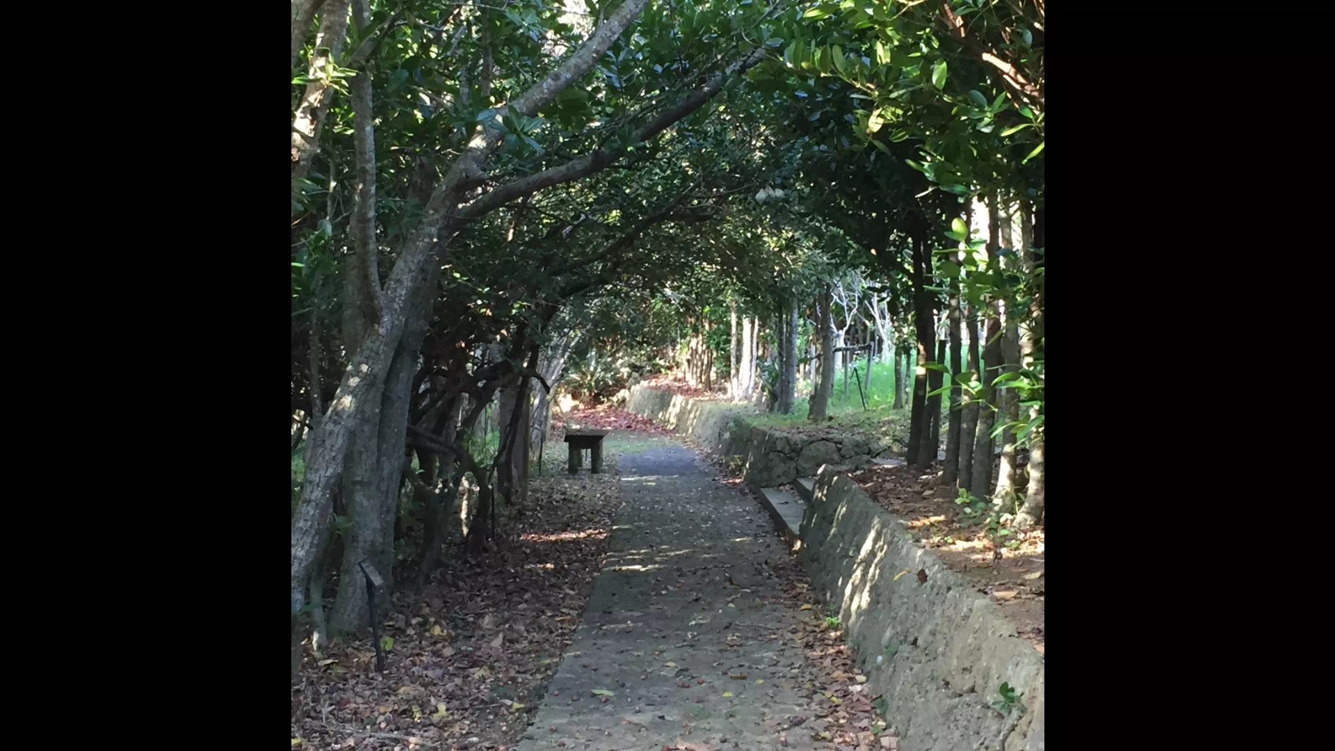 沖縄県平和創造の森公園