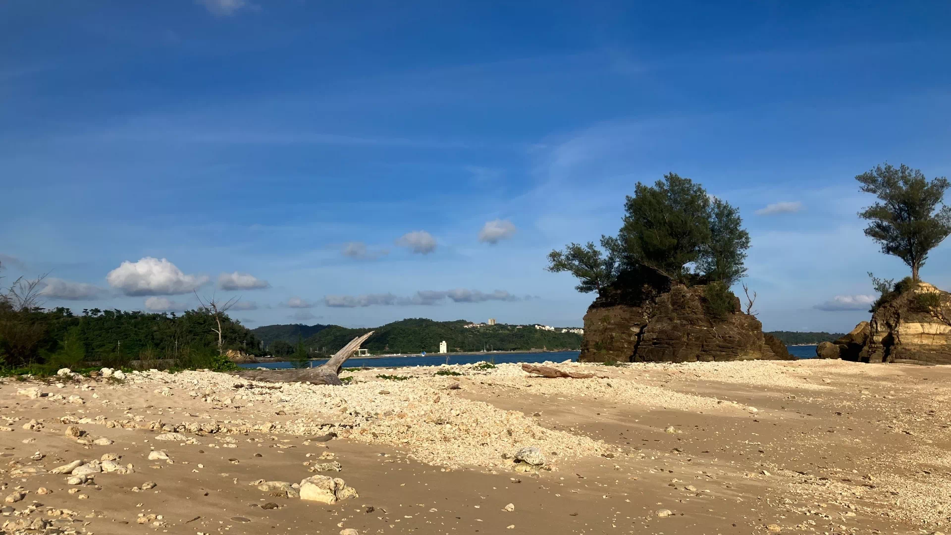 瀬嵩の浜