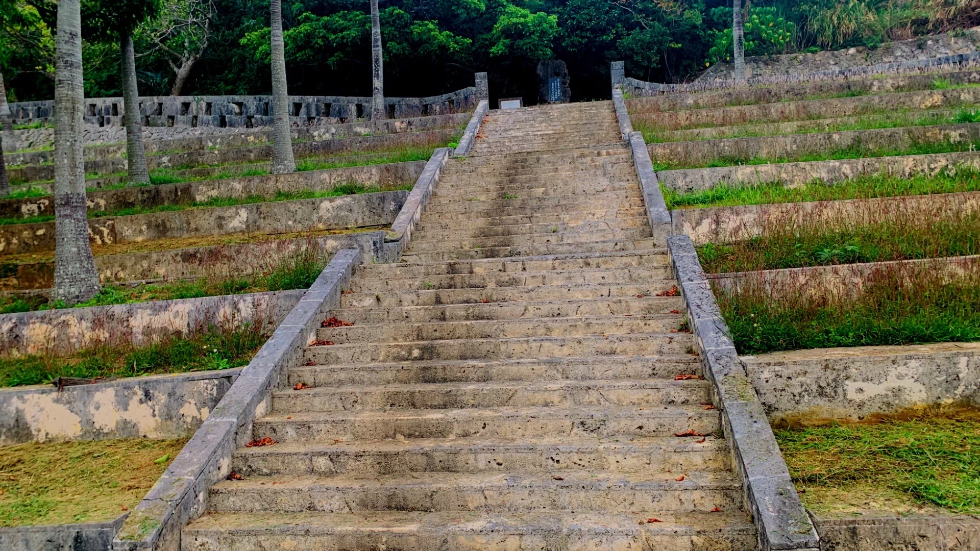 西部プラザ公園