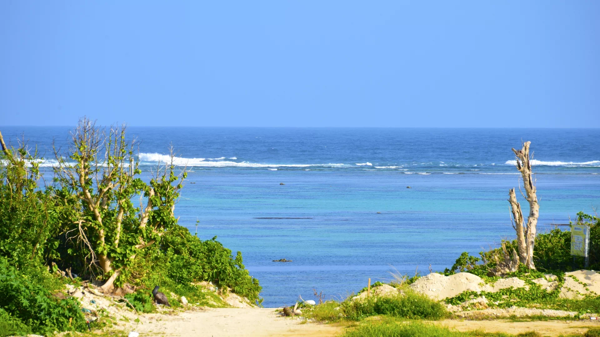 白保海岸