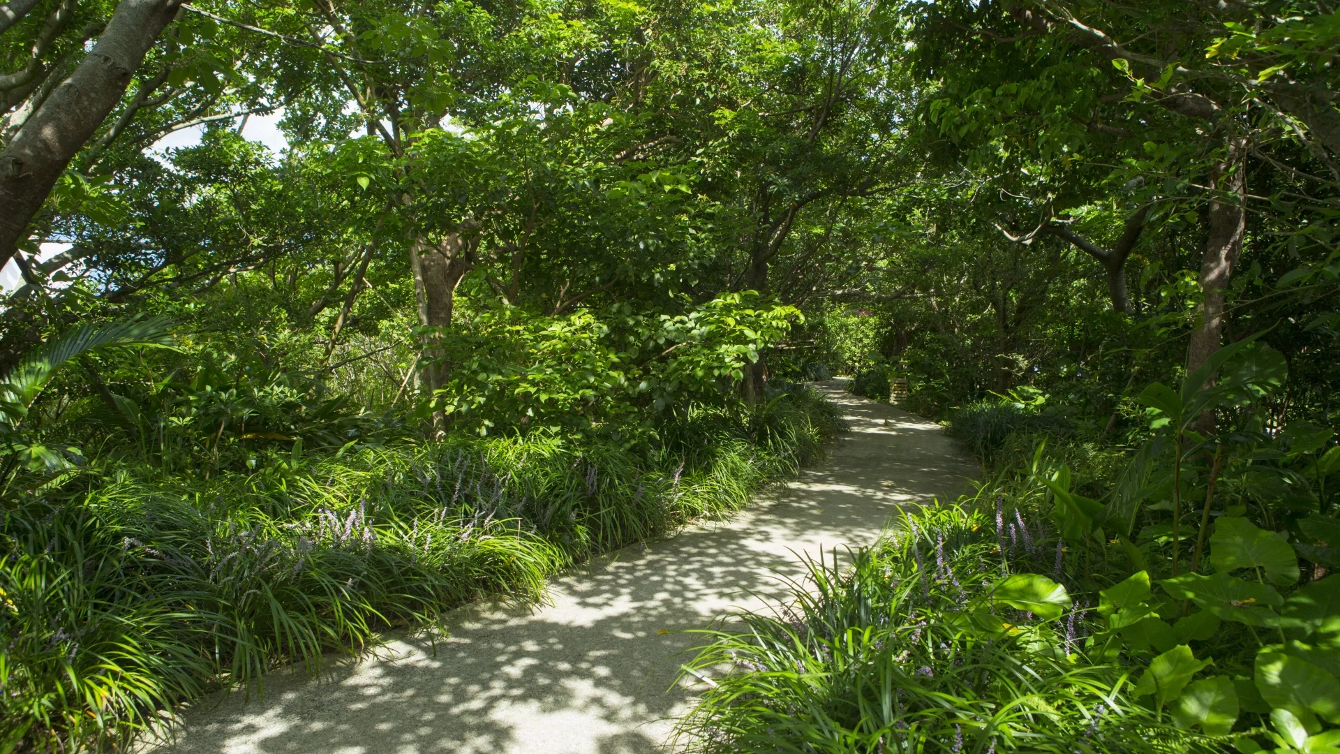 首里城公園