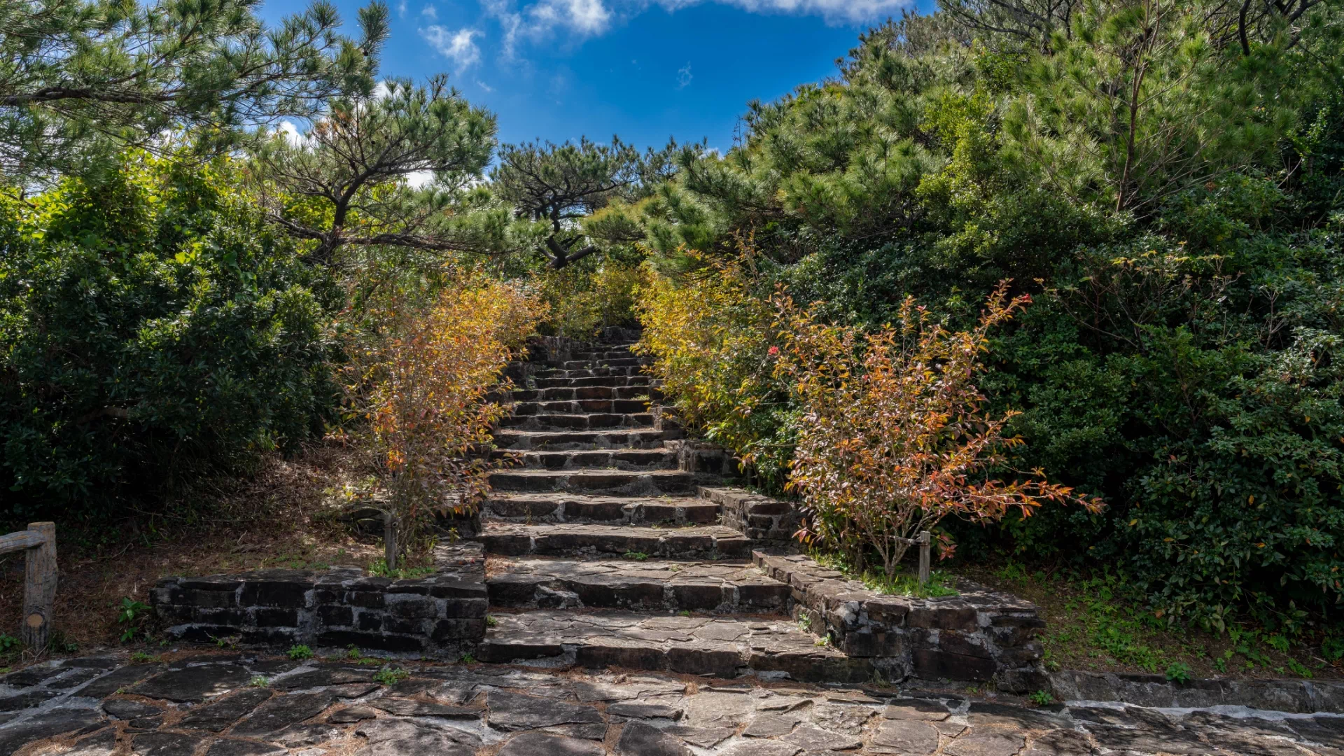 高月山展望台