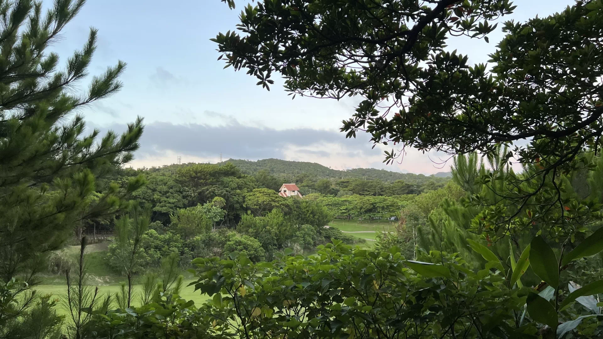 県民の森