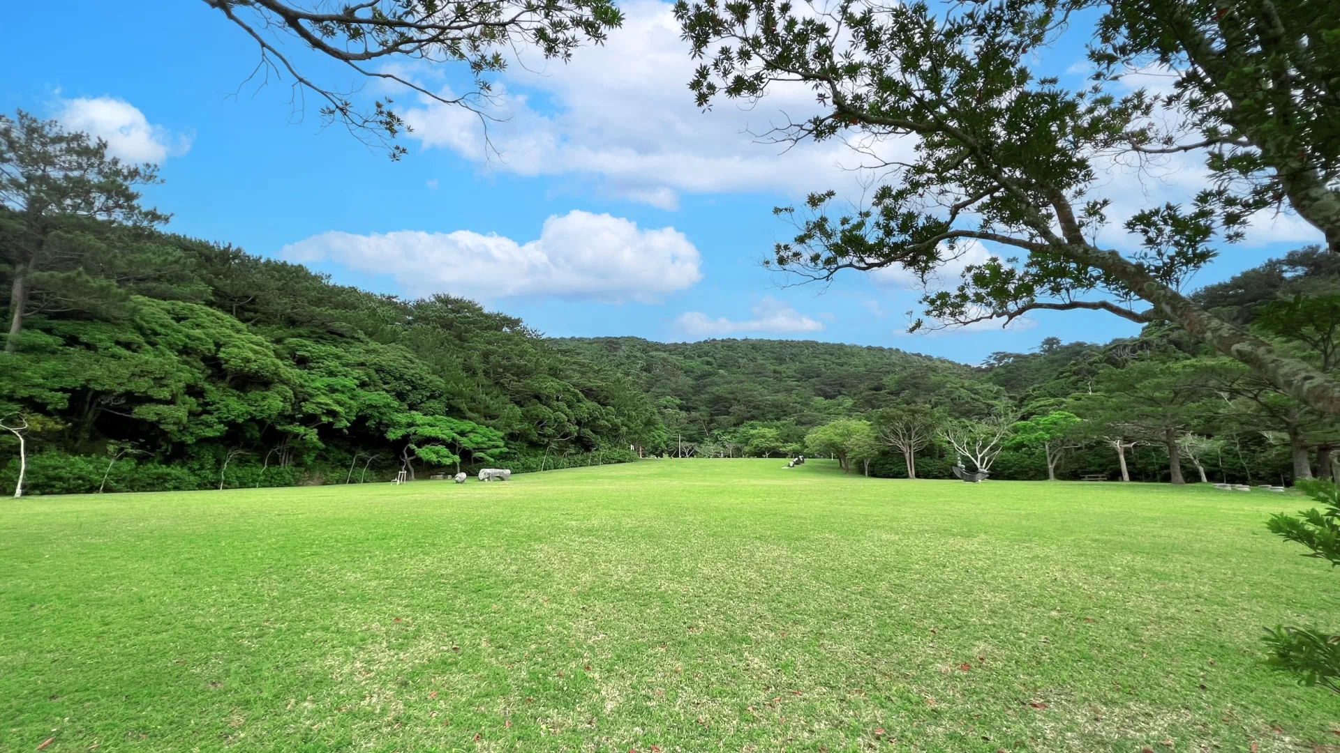 県民の森