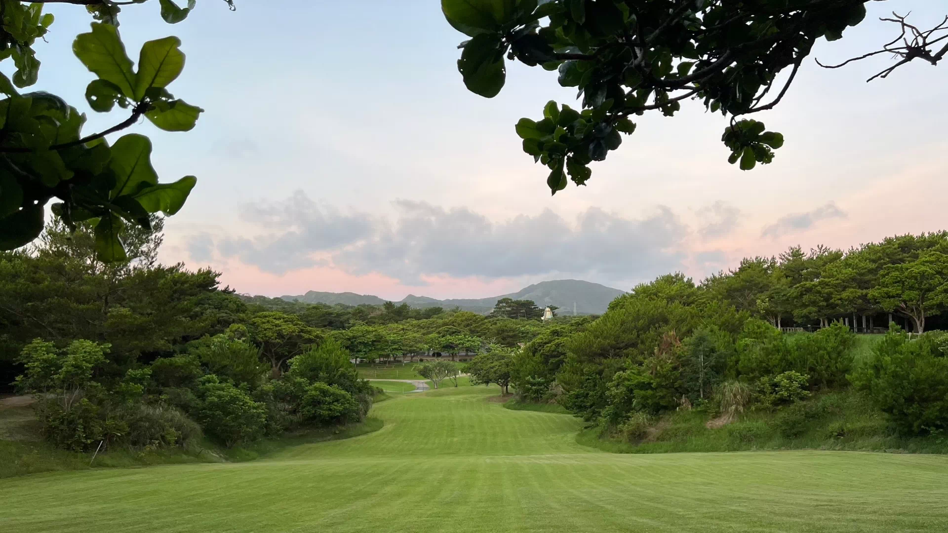 県民の森