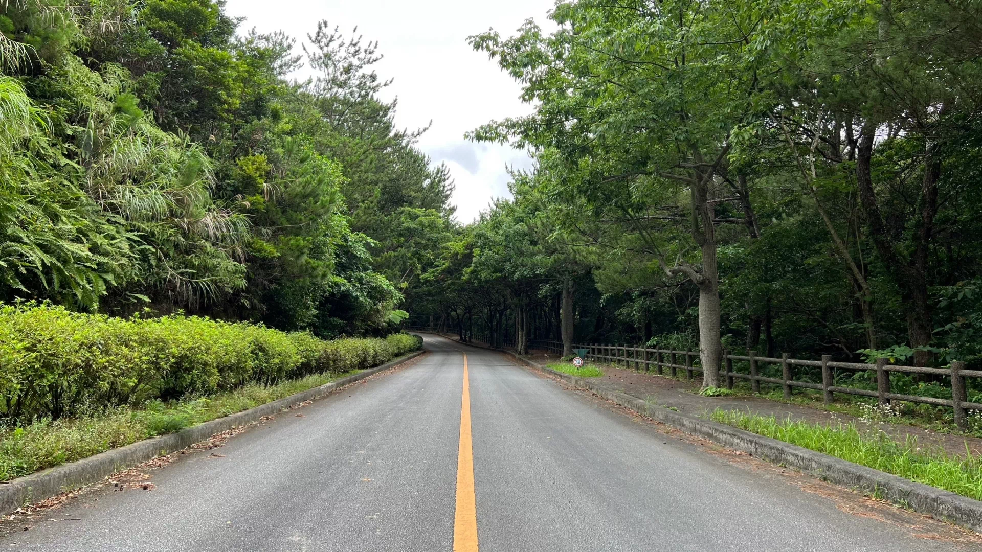 県民の森