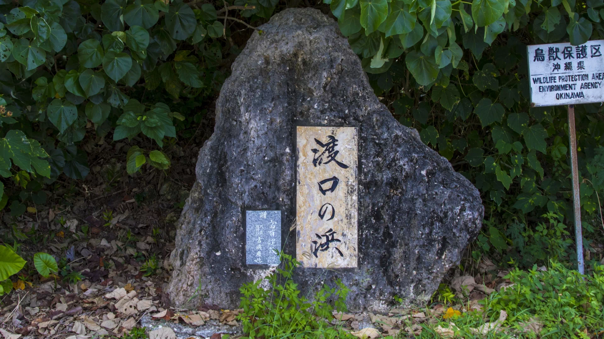 渡口の浜