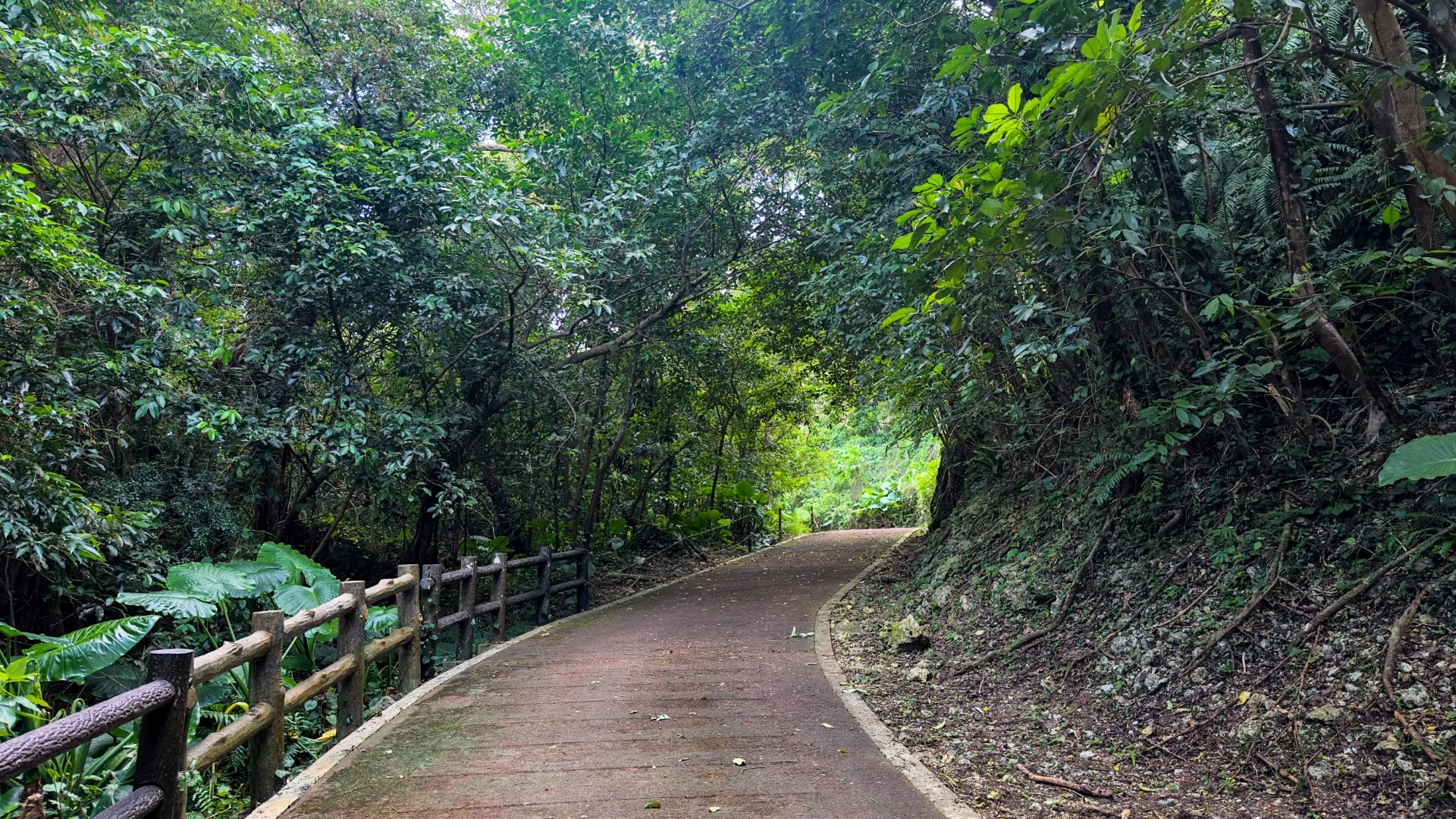 当山の石畳道（普天満参詣道）