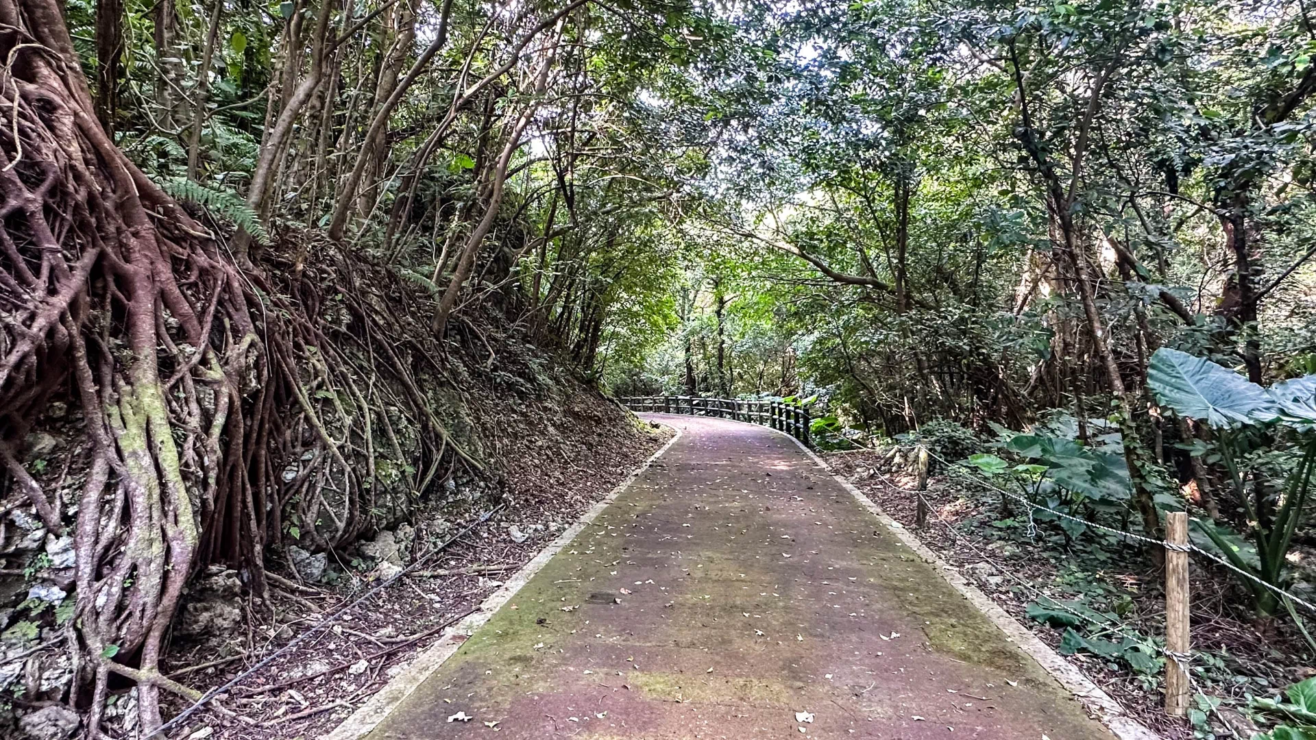 当山の石畳道（普天満参詣道）