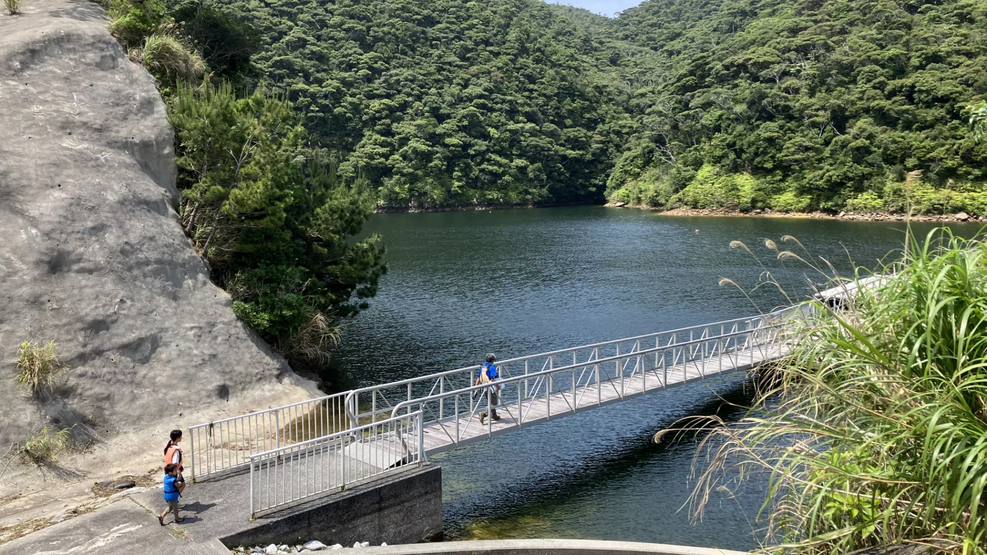 東村村民の森　つつじエコパーク