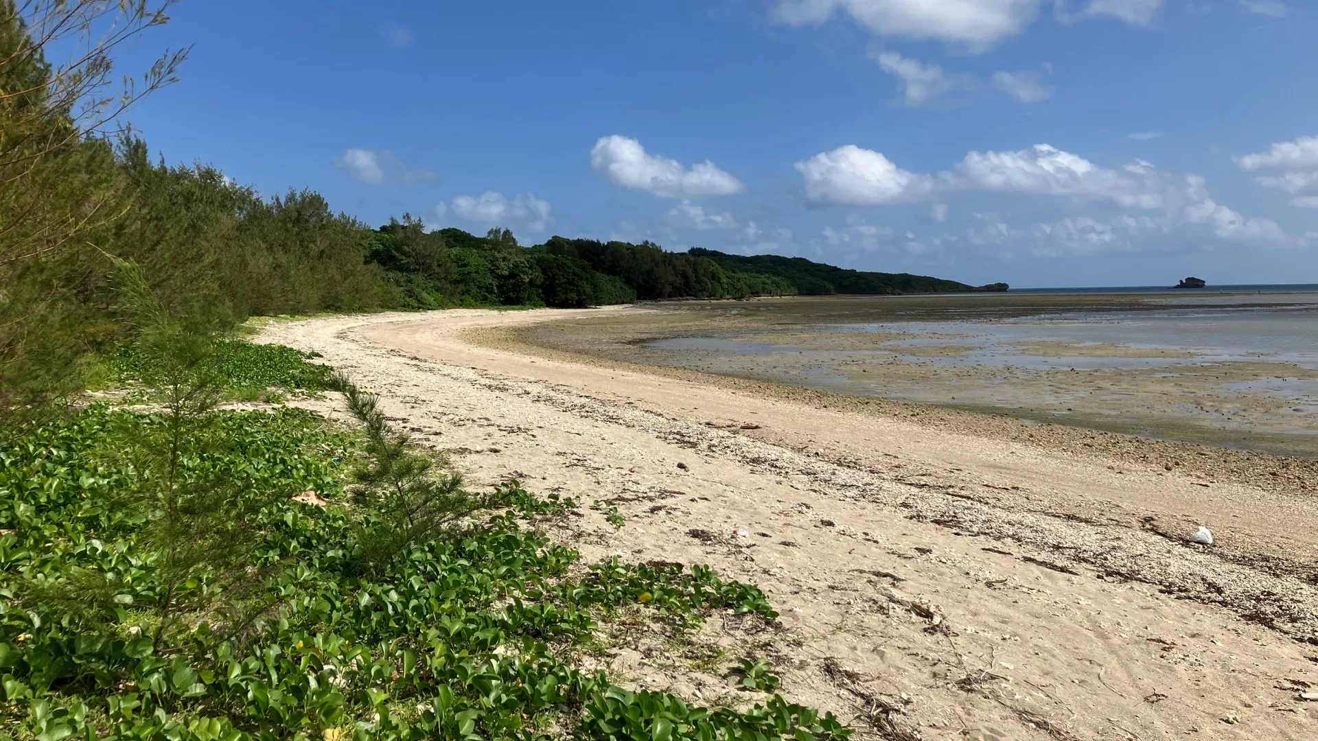 藪地島　藪地浜(やぶちはま)