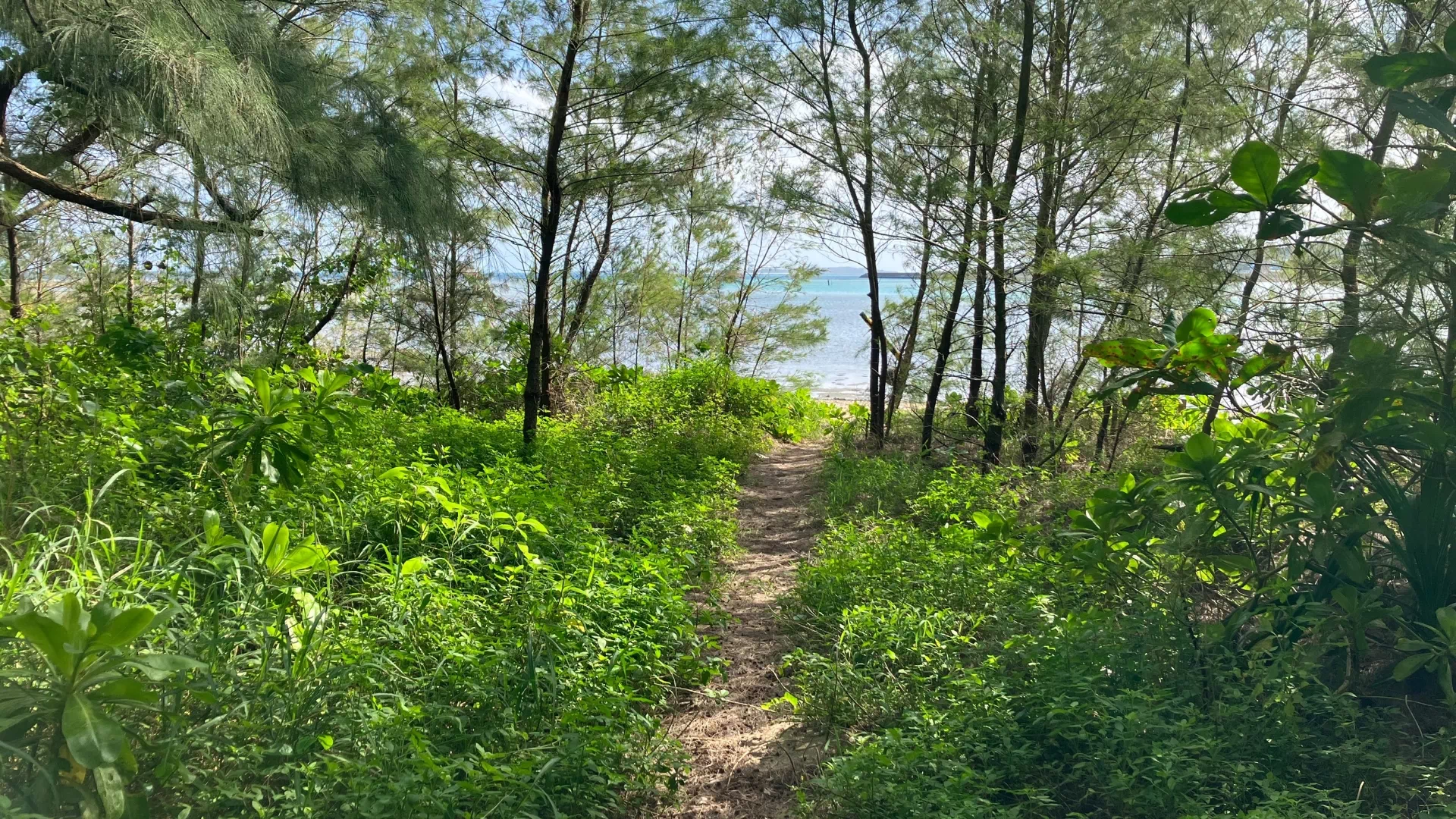 藪地島　藪地浜(やぶちはま)