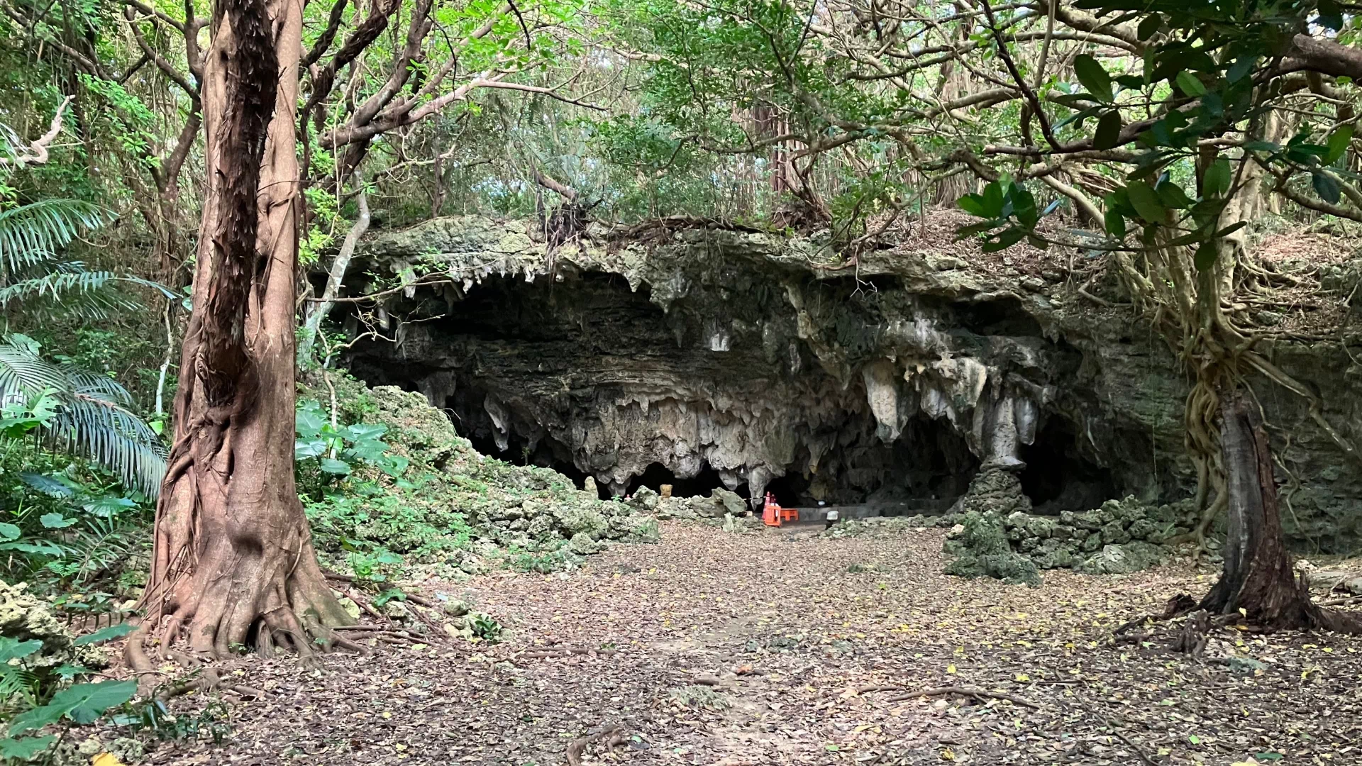 藪地洞穴遺跡