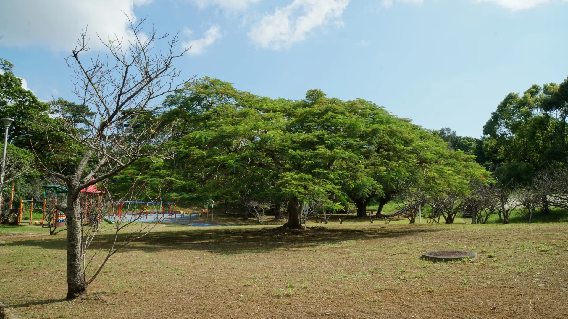 八重島公園