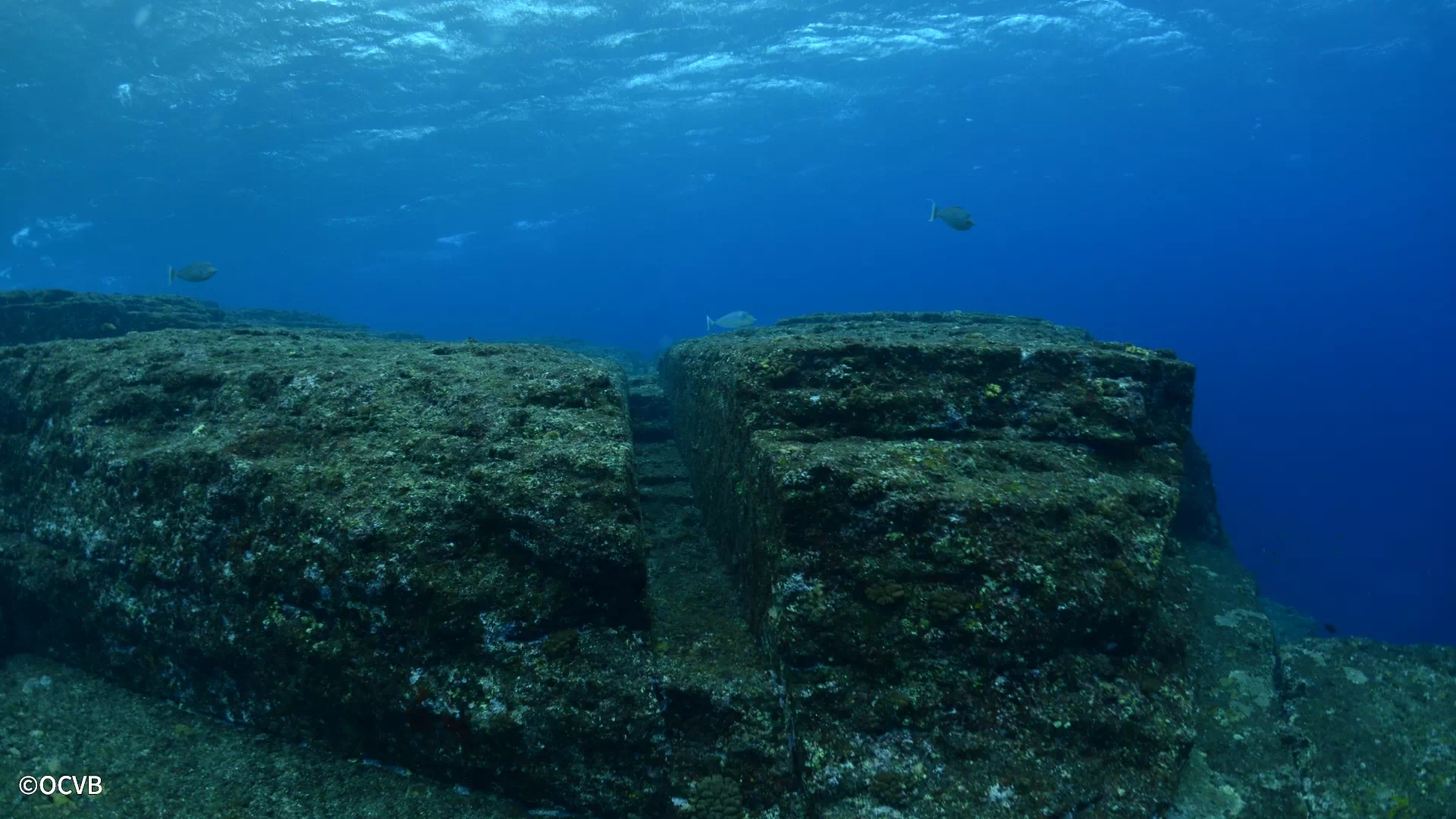 与那国島海底地形