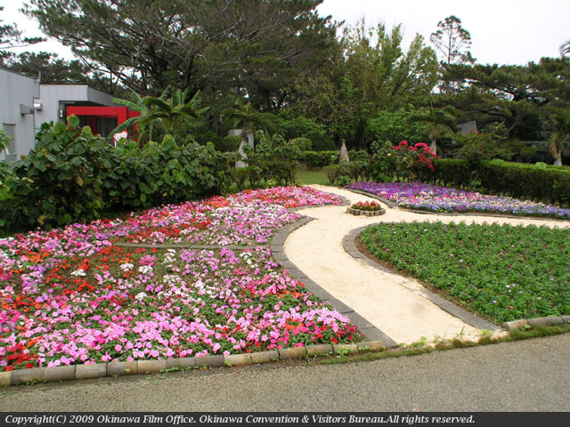 宮古島市立平良熱帯植物園 Ocvb Okinawa Film Office